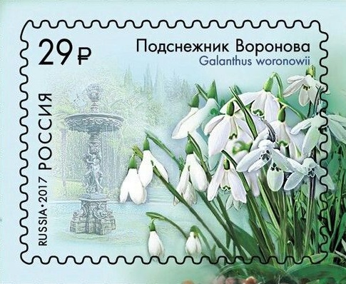2017 2208 Подснежник Воронова 29р