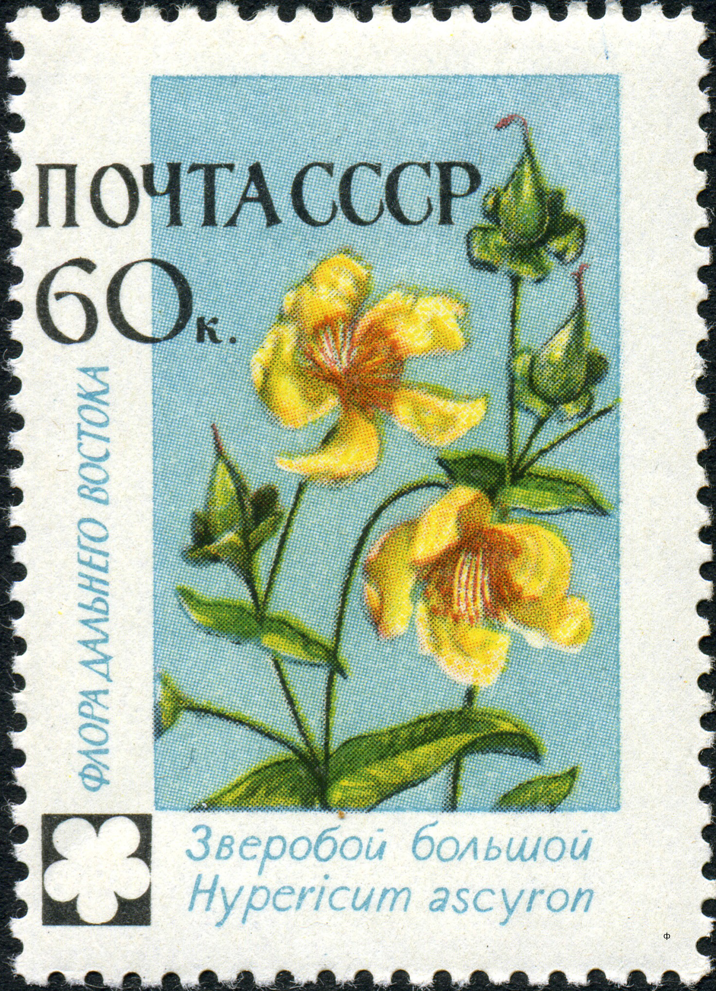 1960 2500 Зверобой большой 60к