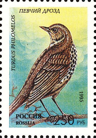 1995 222 Певчий дрозд 250р