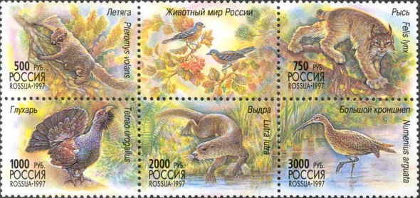 1997 377 Рысь 750р
