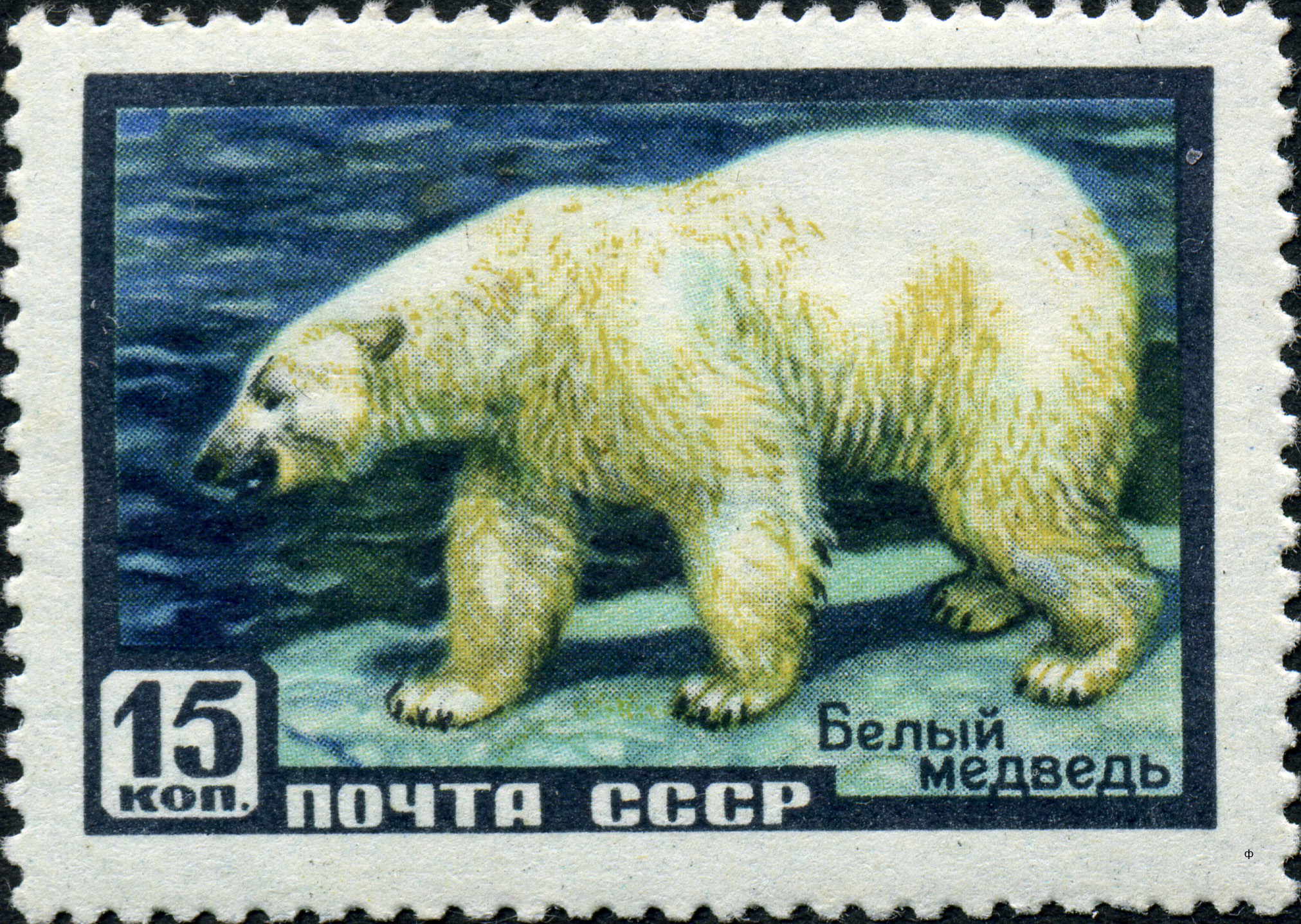 1957 1988 Белый медведь 15к