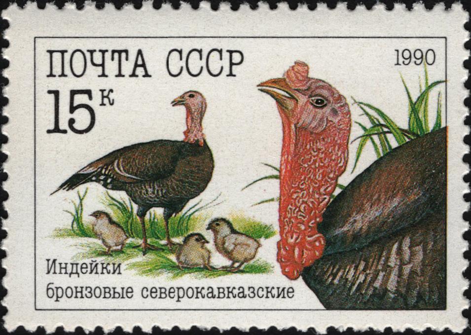1990 6225 Индейки бронзовые 15к