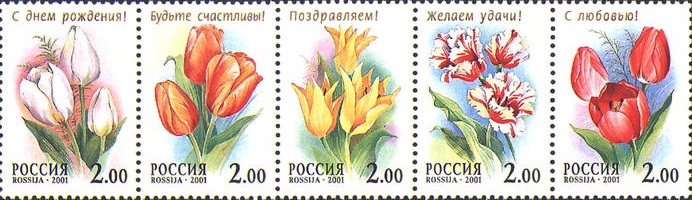 2001 0657 Тюльпан хиберния (Hibernia) 2р