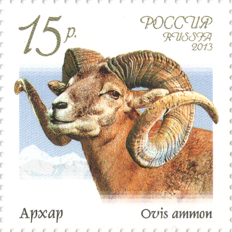 2013 1667 Архар дикий баран 15р