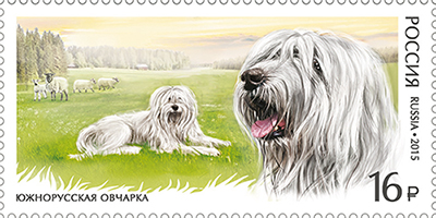 2015 1954 Южнорусская овчарка. Служебные породы собак 16р