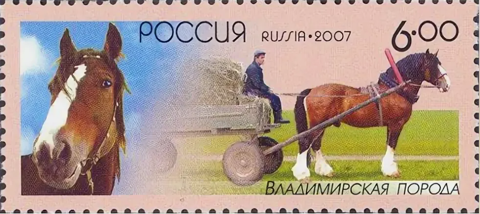 2007 1209 Лошадь Владимирский тяжеловоз 6р