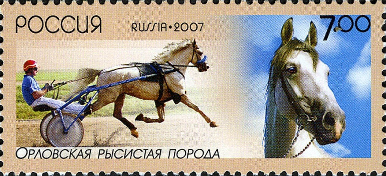 2007 1210 Лошадь Орловский рысак 7р