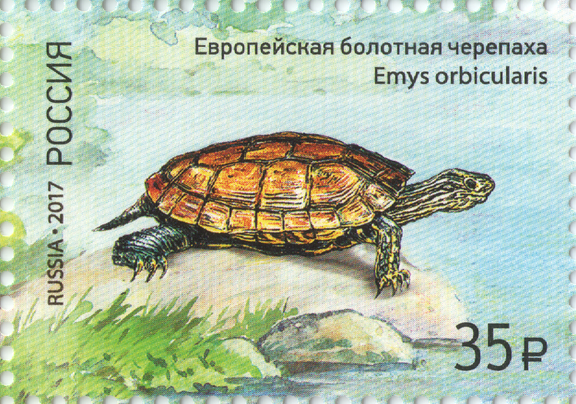 2017 2212 Европейская болотная черепаха 35р