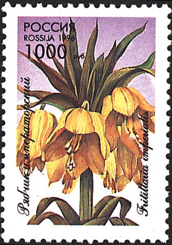 1996 264 Рябчик императорский 1000р