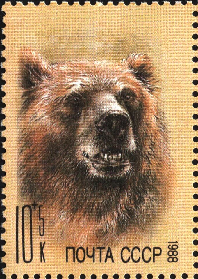 1988 5995 Медведь 10к