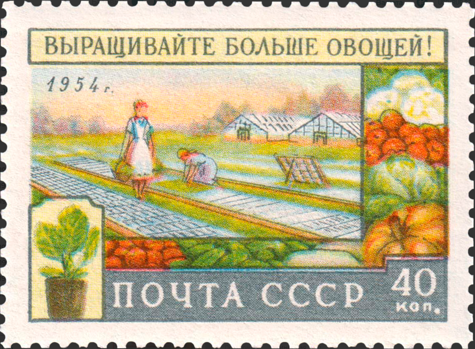 1954 1777 Уборка овощей 40к