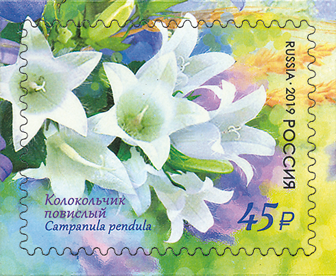 2019 2486 Колокольчик повислый 45р