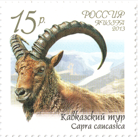 2013 1669 Кавказский тур (горный козел) 15р