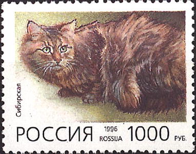 1996 270 Кошка. Сибирская 1000р