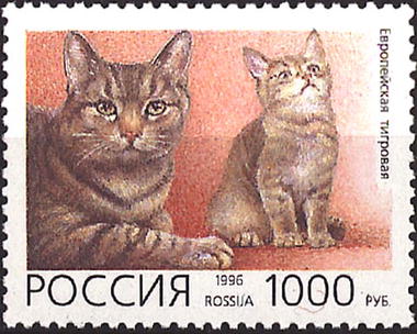 1996 266 Кошка. Европейская тигровая 1000р