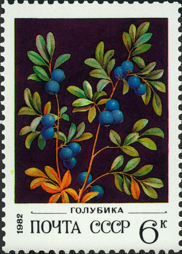 1982 5274 Голубика 6к