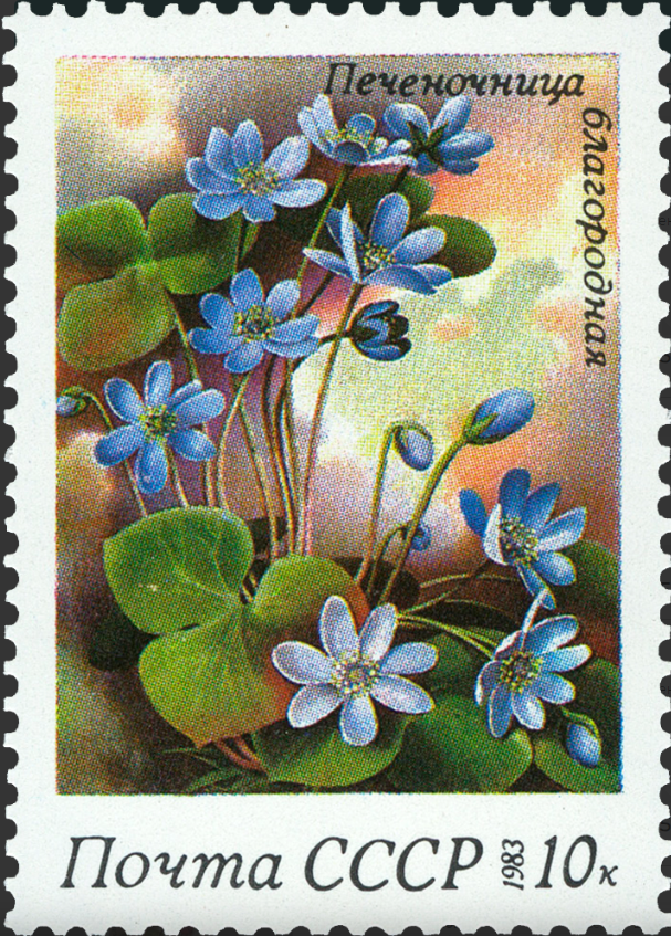 1983 5400 Печеночница благородная 10к