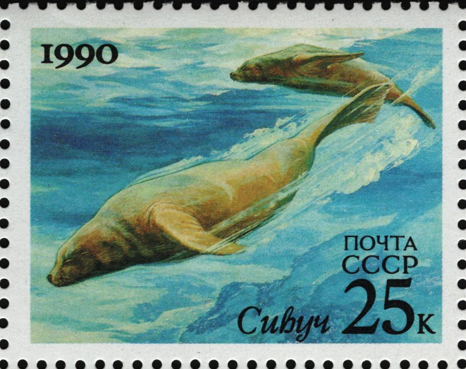 1990 6252 Тюлень сивуч 25к