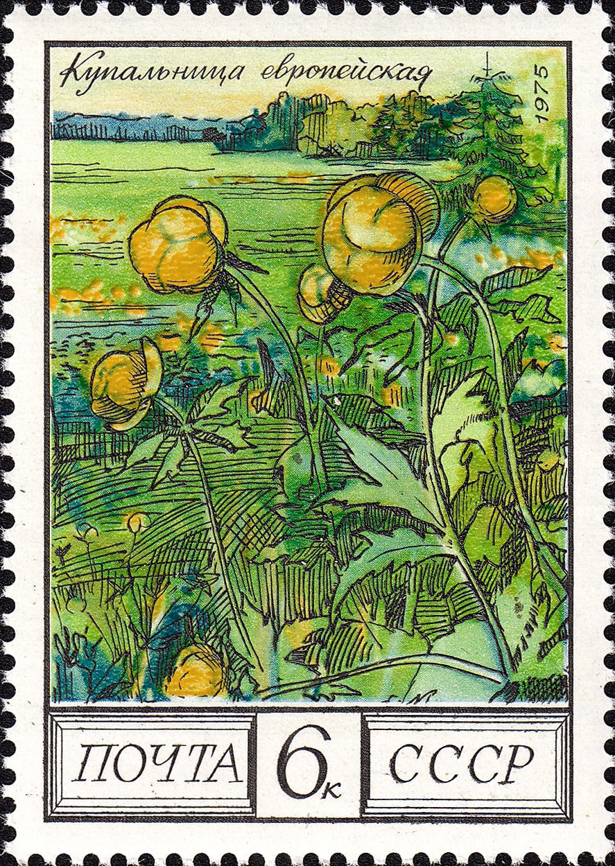 1975 4531 Купальница европейская 6к