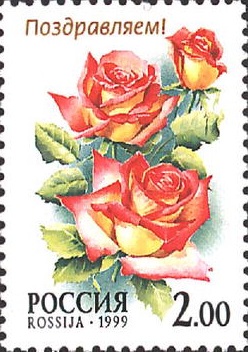 1999 515 Роза Кандия 2р