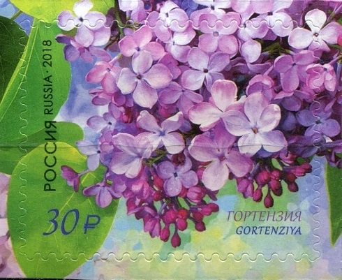 2018 2330 Сирень Гортензия 30р