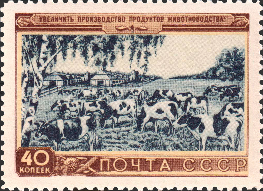 1954 1774 Стадо коров 40к