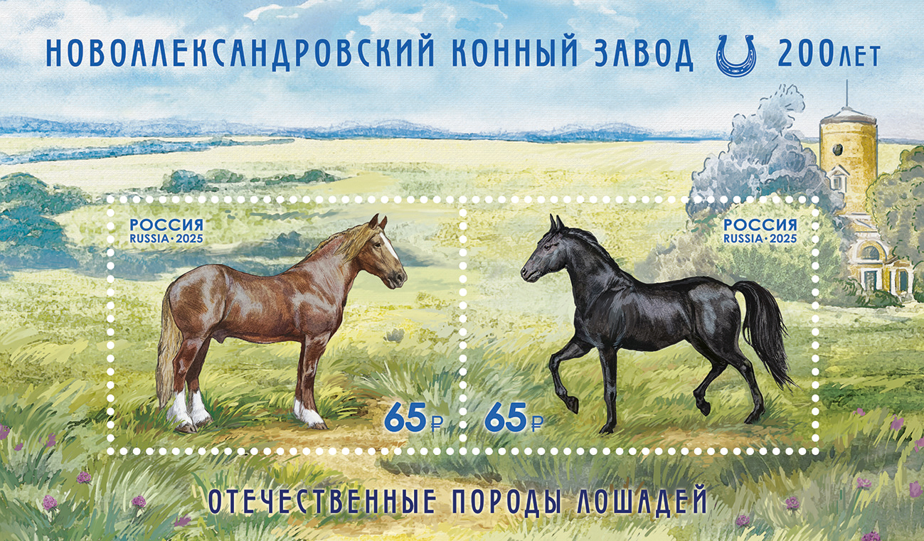 2025 3463 Лошадь новоалександровская тяжеловозная 65р