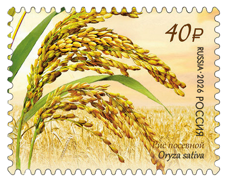 2026 3689-3692 Флора России. Злаковые культуры 40р Лист