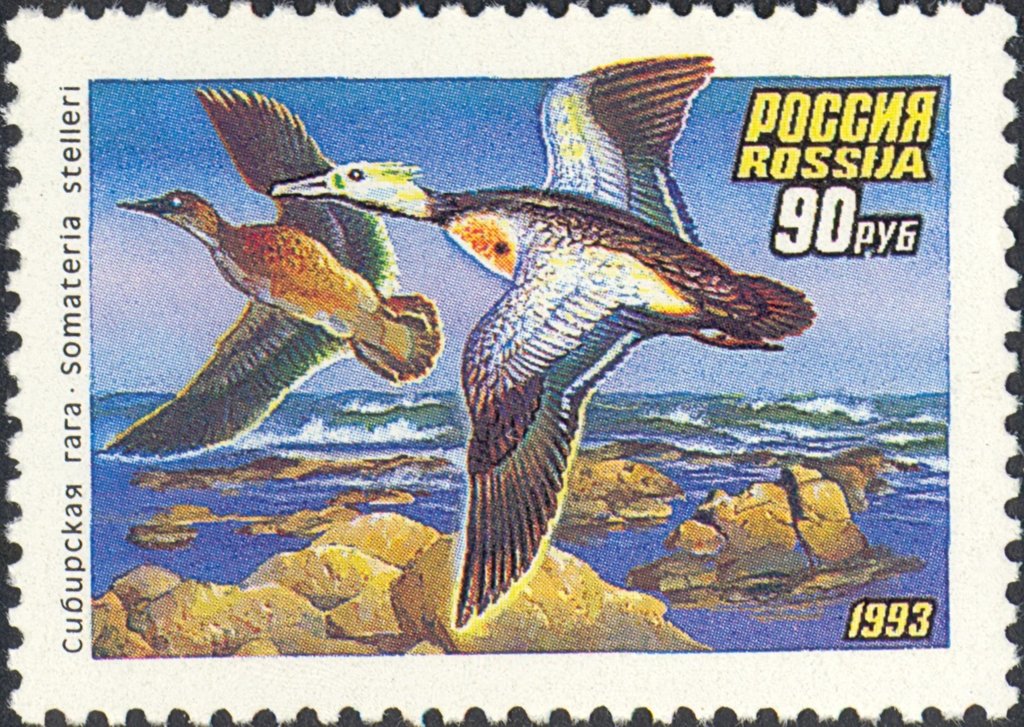 1993 101 Утки Сибирская гага 90р