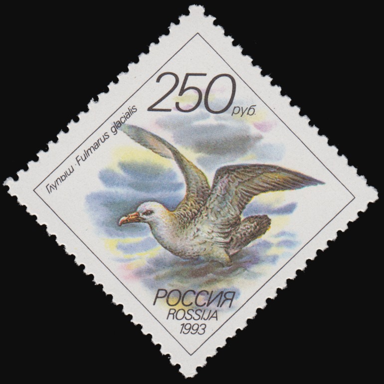 1993 108 Фауна Глупыш 250р
