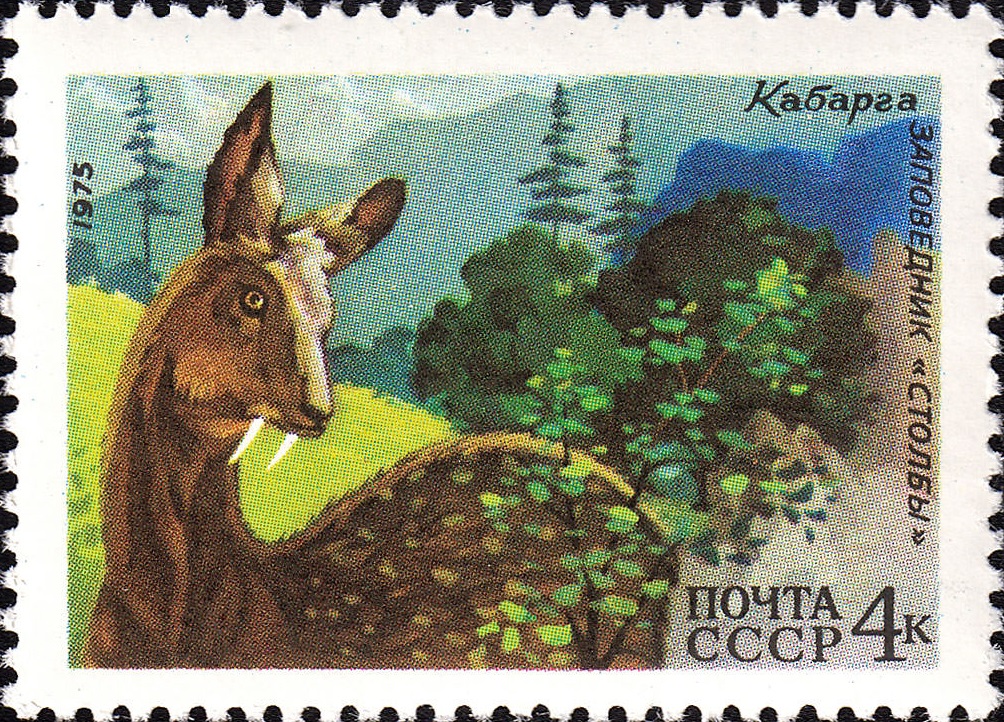 1975 4498 Кабарга 4к