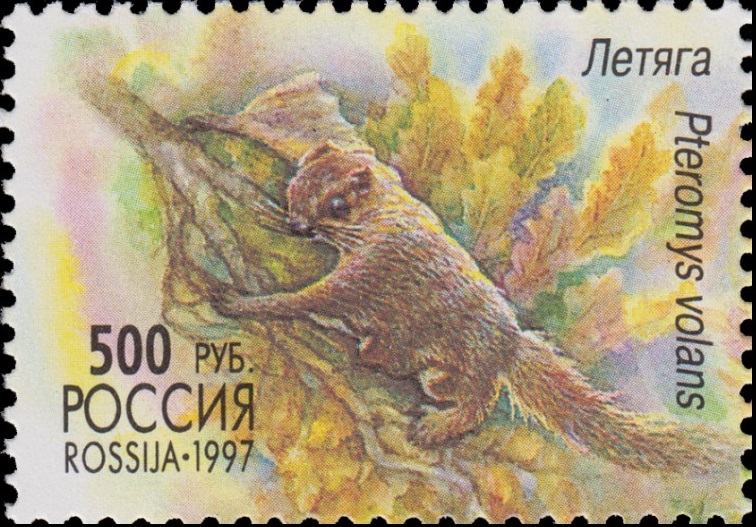 1997 376 Летяга 500р