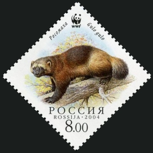 2004 967 Росомаха на дереве 8р