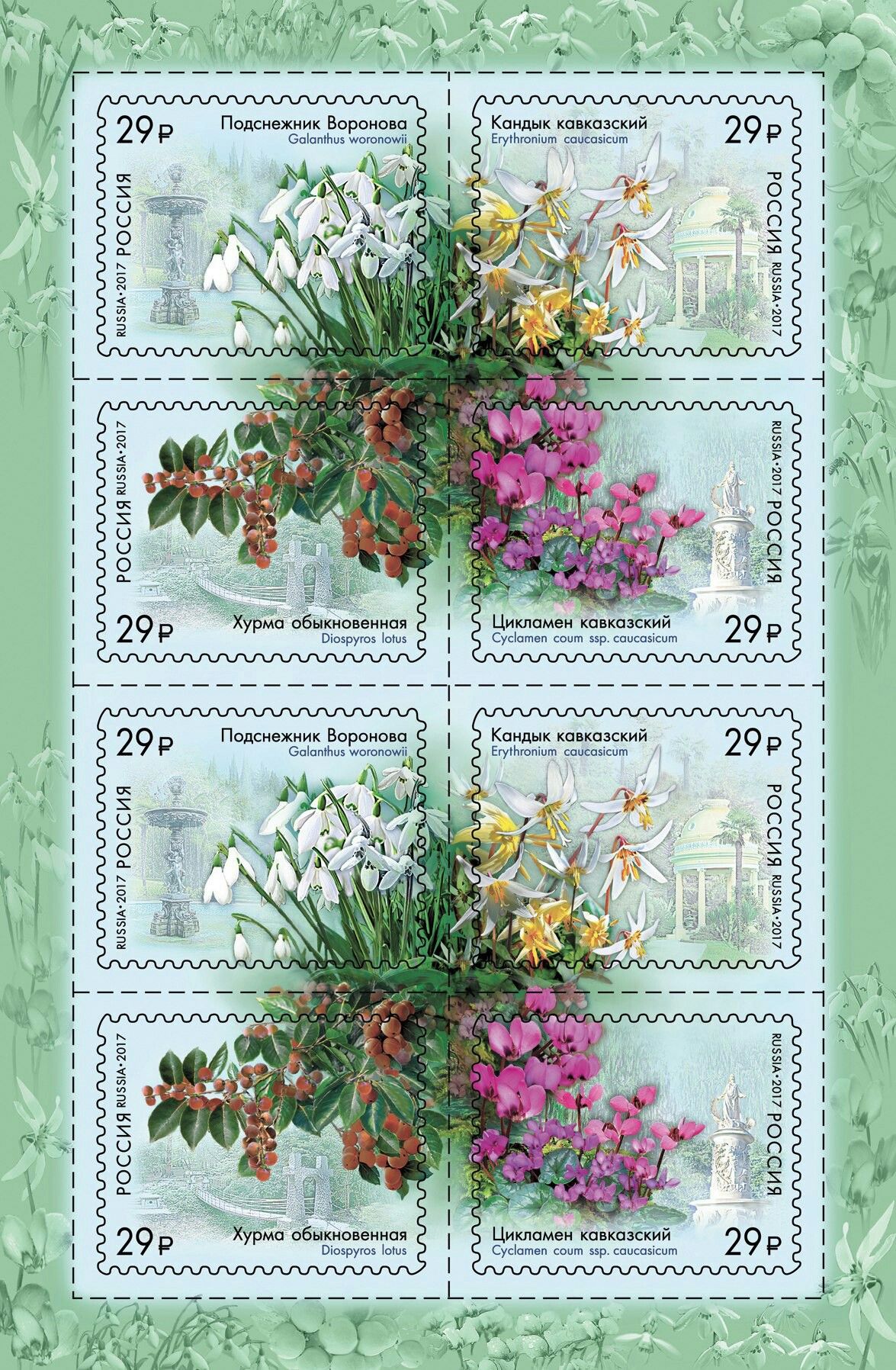 2017 2208 Подснежник Воронова 29р