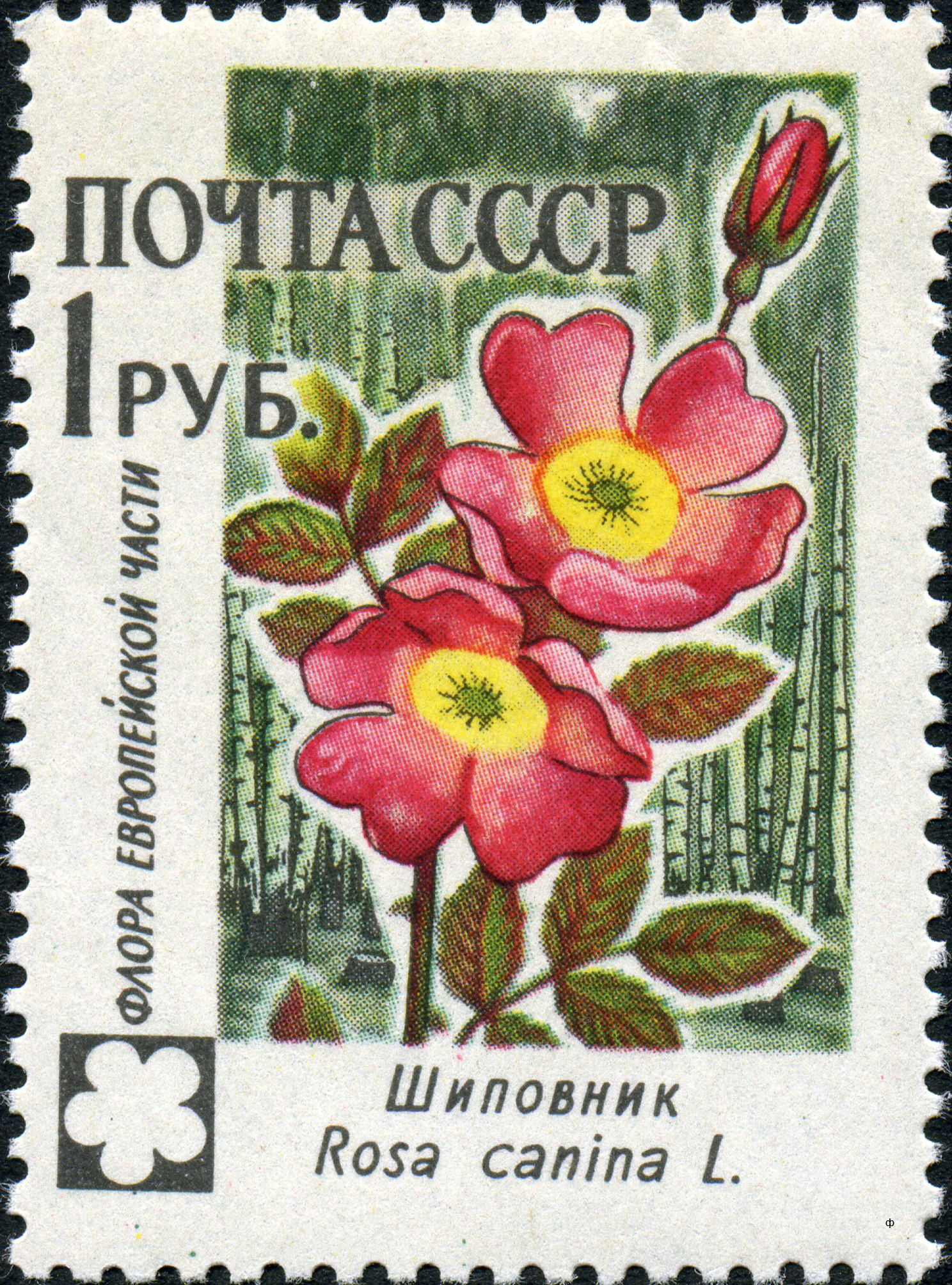 1960 2501 Шиповник 1р