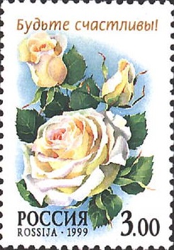 1999 516 Роза Конфиданс 3р