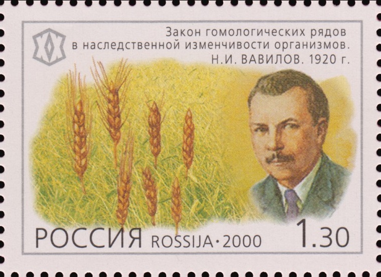 2000 594 Закон гомологических рядов в наследственной изменчивости организмов. Н.И. Вавилов. 1920 г. 1.30р