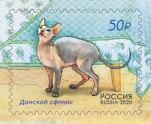 2020 2614 Кошка Донской сфинкс 50р