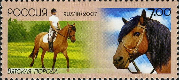 2007 1211 Вятская лошадь 7р