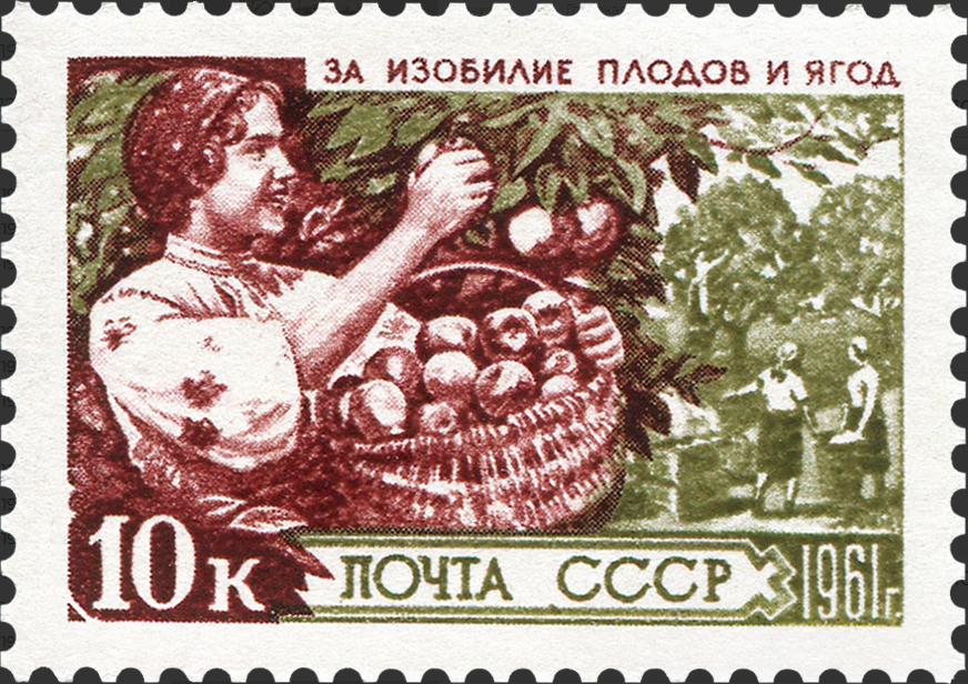 1961 2543 Сбор фруктов 10к