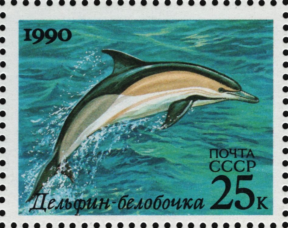1990 6254 Дельфин белобочка 25к