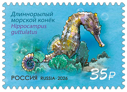 2026 3633 Длиннорылый морской конёк 35р