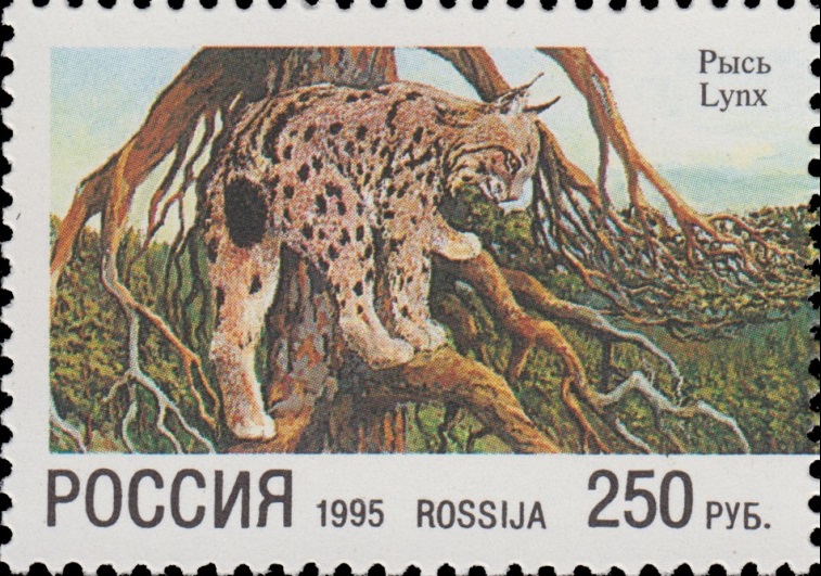 1995 205 Рысь 250р