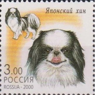 2000 609 Японский хин. Декоративные собаки 3р