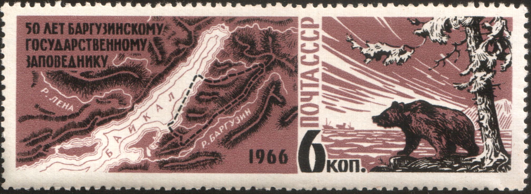 1966 3374 Медведь. Баргузинский заповедник. Бурятия 6к