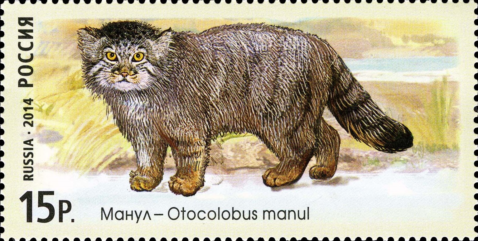 2014 1846 Манул. Дикие кошки 15р