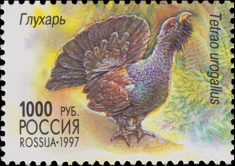 1997 378 Глухарь 1000р