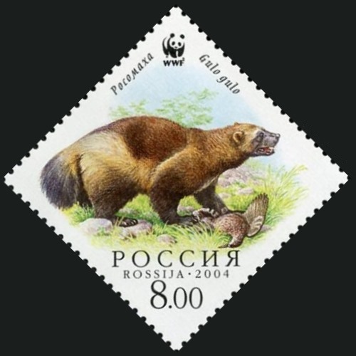 2004 968 Росомаха с добычей 8р