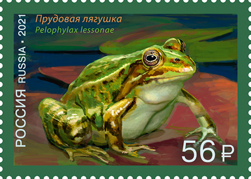 2021 2732 Прудовая лягушка 56р