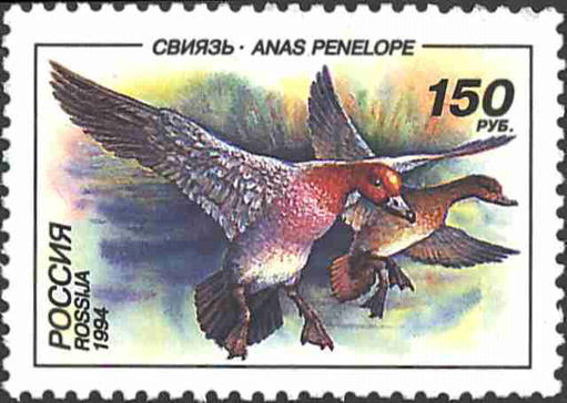 1994 170 Утки Свиязь 150р